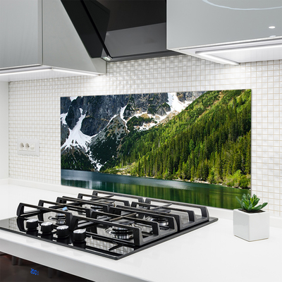 Panneaux de cuisine en verre Lac montagnes forêt paysage gris blanc vert