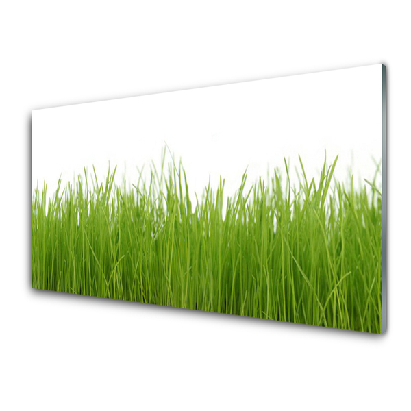 Panneaux de cuisine en verre Herbe nature vert