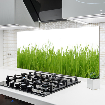 Panneaux de cuisine en verre Herbe nature vert