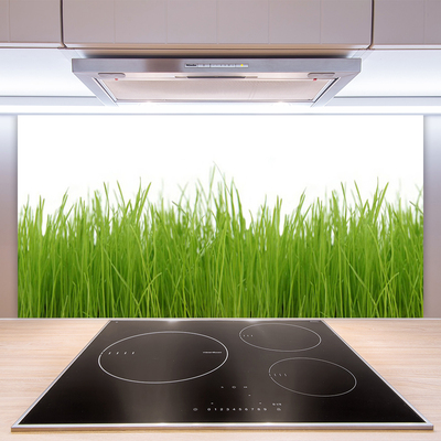 Panneaux de cuisine en verre Herbe nature vert