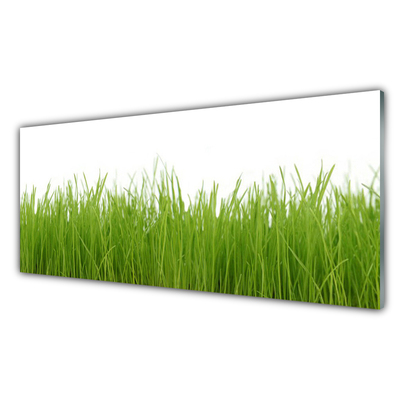 Panneaux de cuisine en verre Herbe nature vert