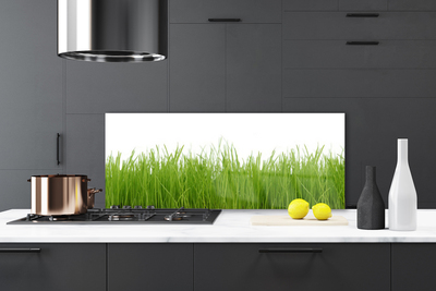 Panneaux de cuisine en verre Herbe nature vert