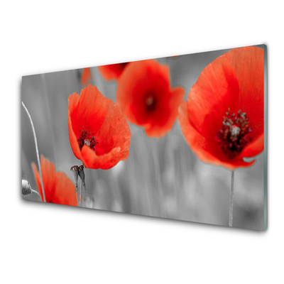 Panneaux de cuisine en verre Coquelicots floral rouge gris