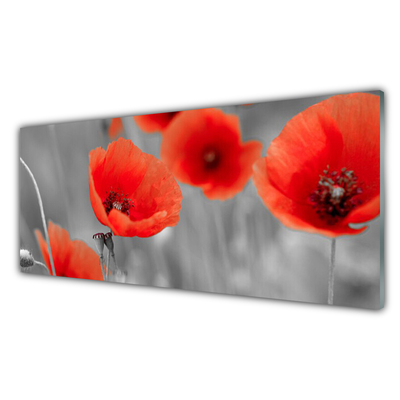 Panneaux de cuisine en verre Coquelicots floral rouge gris