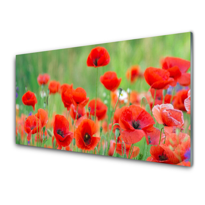 Panneaux de cuisine en verre Coquelicots floral rouge noir