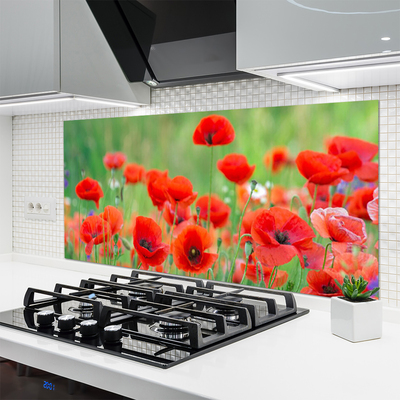 Panneaux de cuisine en verre Coquelicots floral rouge noir