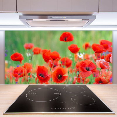 Panneaux de cuisine en verre Coquelicots floral rouge noir