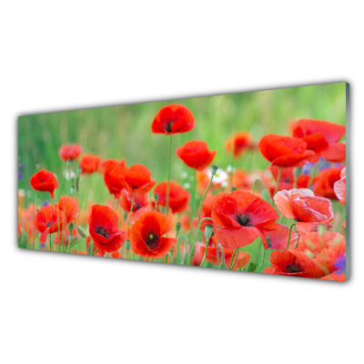 Panneaux de cuisine en verre Coquelicots floral rouge noir