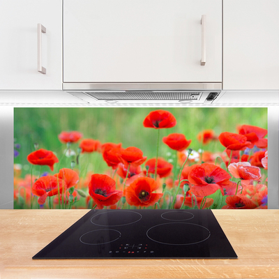 Panneaux de cuisine en verre Coquelicots floral rouge noir