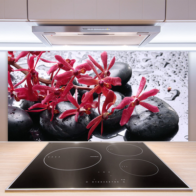 Panneaux de cuisine en verre Pierres fleurs art noir rouge