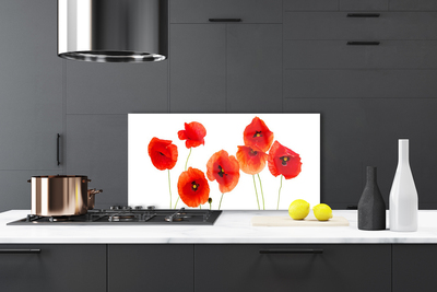 Panneaux de cuisine en verre Coquelicots floral rouge noir