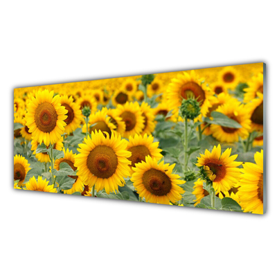 Panneaux de cuisine en verre Tournesol floral brun jaune