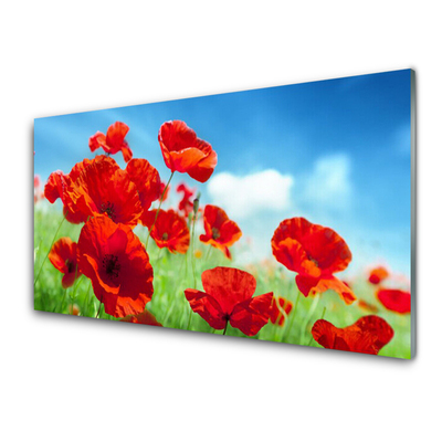 Panneaux de cuisine en verre Pavots floral rouge