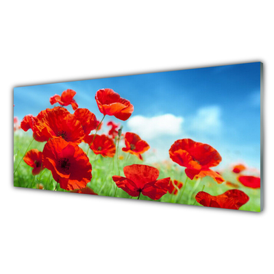 Panneaux de cuisine en verre Pavots floral rouge