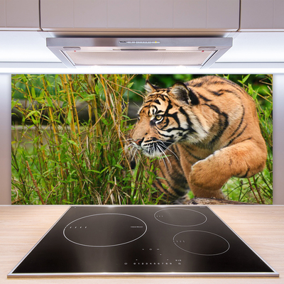 Panneaux de cuisine en verre Tigre animaux brun noir