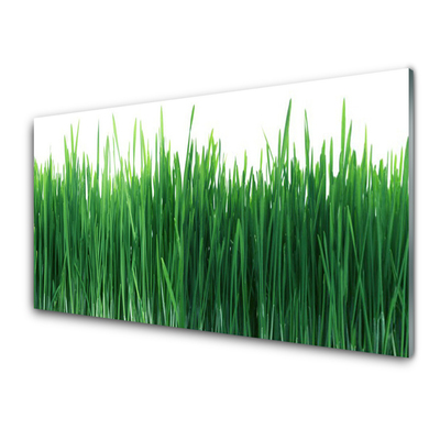 Panneaux de cuisine en verre Herbe nature vert