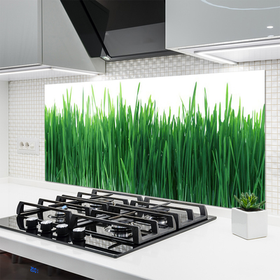 Panneaux de cuisine en verre Herbe nature vert