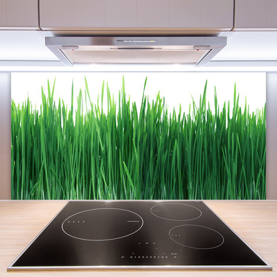 Panneaux de cuisine en verre Herbe nature vert