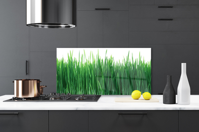 Panneaux de cuisine en verre Herbe nature vert