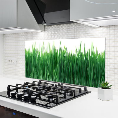 Panneaux de cuisine en verre Herbe nature vert