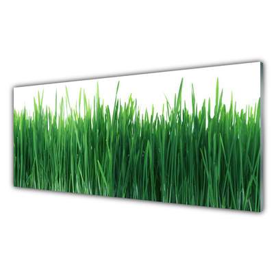 Panneaux de cuisine en verre Herbe nature vert