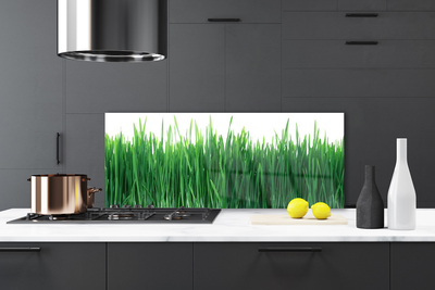 Panneaux de cuisine en verre Herbe nature vert