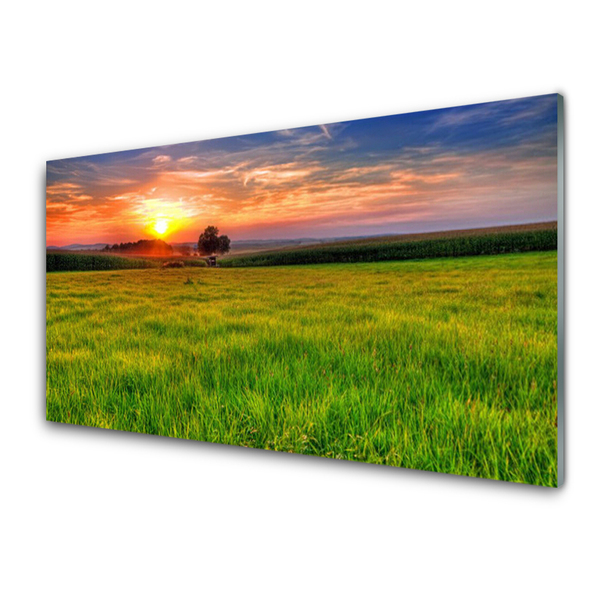 Panneaux de cuisine en verre Soleil prairie nature vert jaune violet