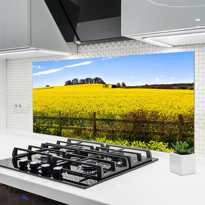 Panneaux de cuisine en verre Champ paysage vert