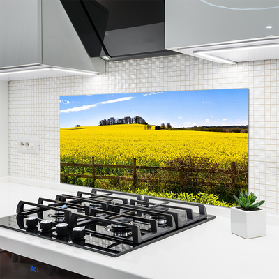 Panneaux de cuisine en verre Champ paysage vert