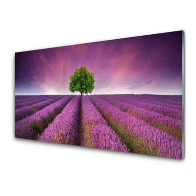 Panneaux de cuisine en verre Arbre prairie nature rose vert violet