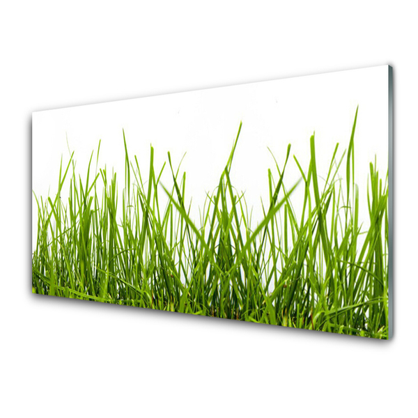 Panneaux de cuisine en verre Herbe nature vert