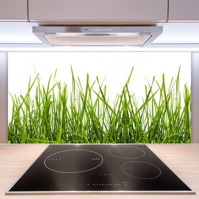 Panneaux de cuisine en verre Herbe nature vert