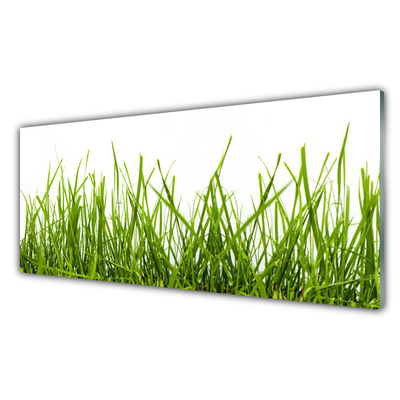 Panneaux de cuisine en verre Herbe nature vert