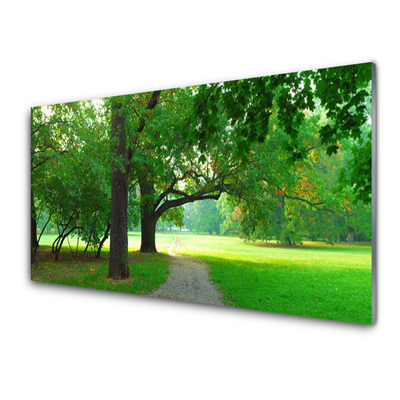 Panneaux de cuisine en verre Sentier arbres nature brun vert
