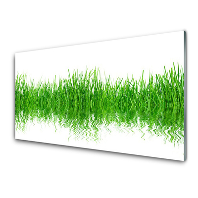 Panneaux de cuisine en verre Herbe nature vert