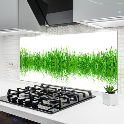 Panneaux de cuisine en verre Herbe nature vert