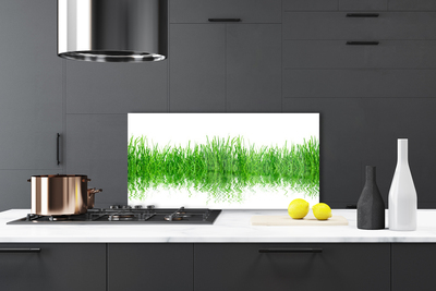 Panneaux de cuisine en verre Herbe nature vert