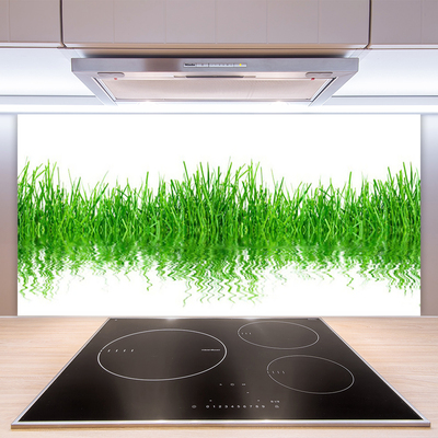 Panneaux de cuisine en verre Herbe nature vert