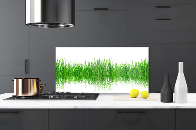 Panneaux de cuisine en verre Herbe nature vert