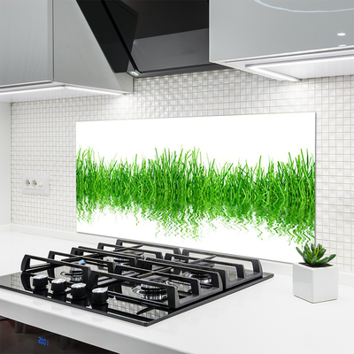 Panneaux de cuisine en verre Herbe nature vert