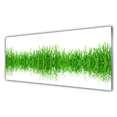 Panneaux de cuisine en verre Herbe nature vert