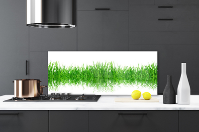 Panneaux de cuisine en verre Herbe nature vert