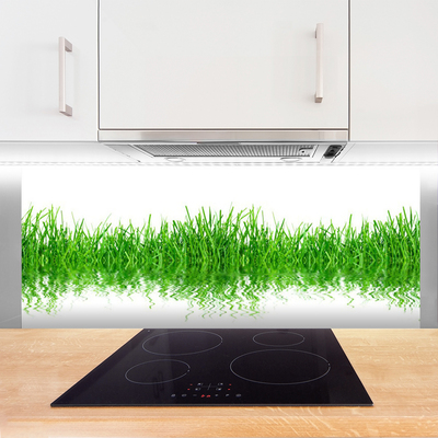 Panneaux de cuisine en verre Herbe nature vert