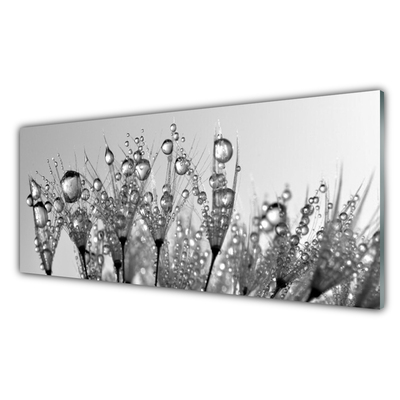 Panneaux de cuisine en verre Abstrait floral gris