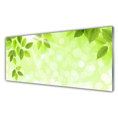 Panneaux de cuisine en verre Feuilles floral vert
