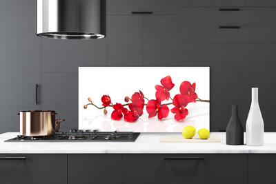 Panneaux de cuisine en verre Fleurs floral rouge