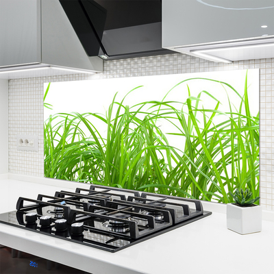 Panneaux de cuisine en verre Herbe nature vert