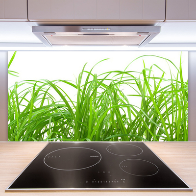 Panneaux de cuisine en verre Herbe nature vert