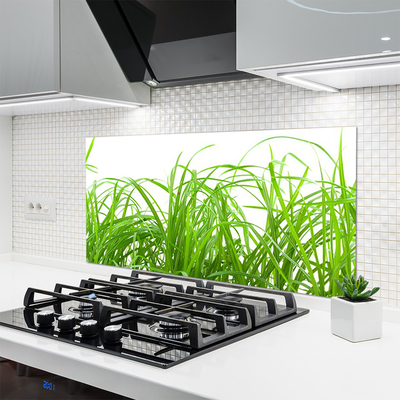 Panneaux de cuisine en verre Herbe nature vert