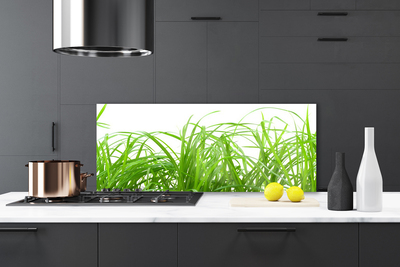 Panneaux de cuisine en verre Herbe nature vert